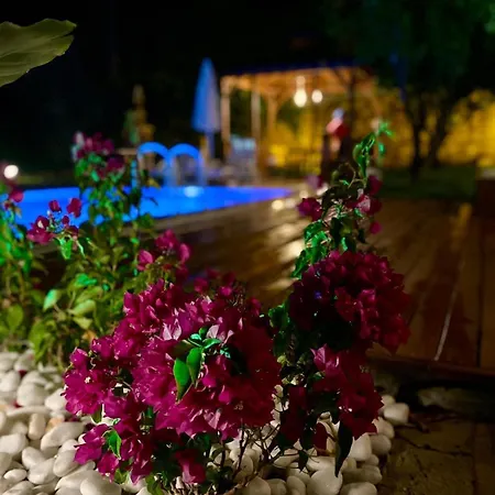 Eyluel Villa