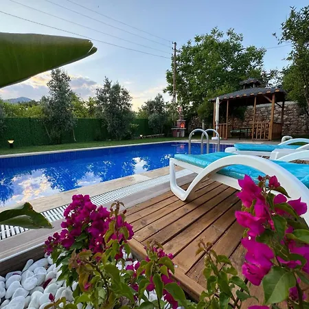 Eyluel Villa *
